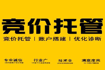 百度推广运营实战：成功案例解析